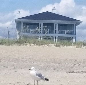 Meet your Posher, Laura